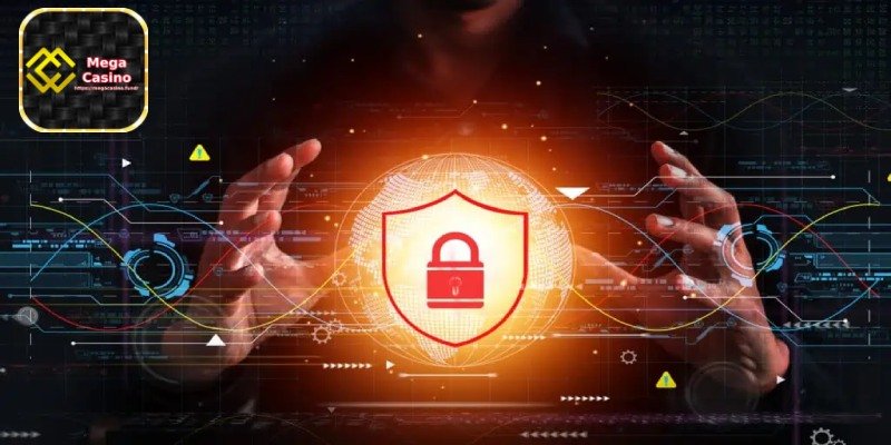Privacy policy - Carefully Read the Operator’s Policy