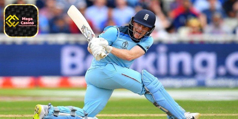 Introduction to Cricket at Mega Casino