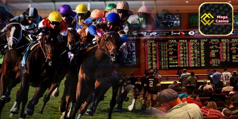 Horse racing betting - Secure and Convenient Online Betting System