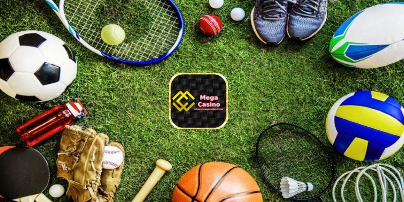 Sports Betting with Rich Data and Competitive Odds