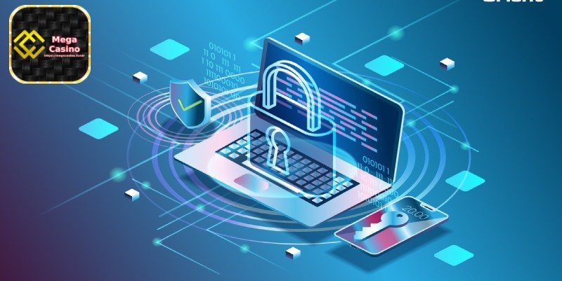 Privacy policy - SSL Data Encryption