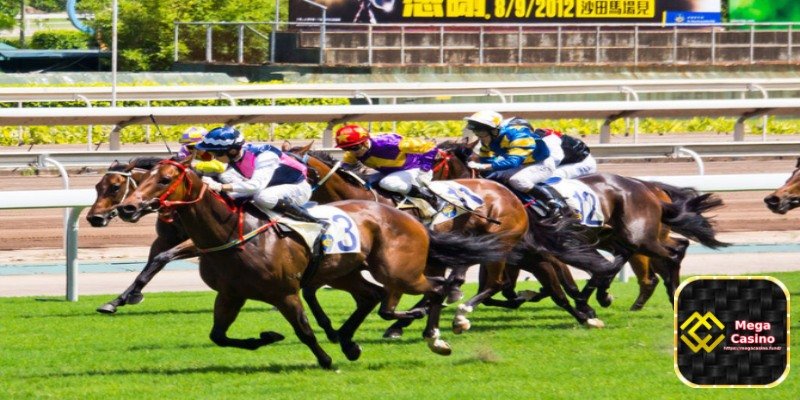 Stay Informed About the Races