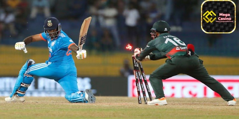 Understand the Different Types of Cricket Bets