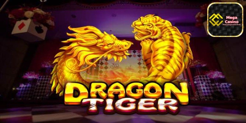 Dragon Tiger betting - Understand the Rules and Payouts