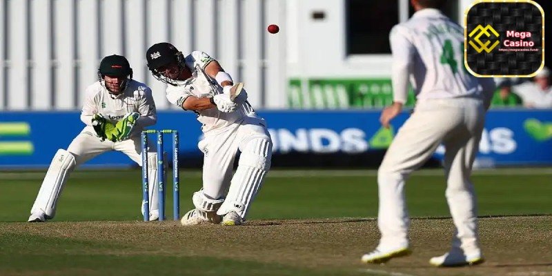 Effective cricket betting tips - Verify Licenses and Certifications